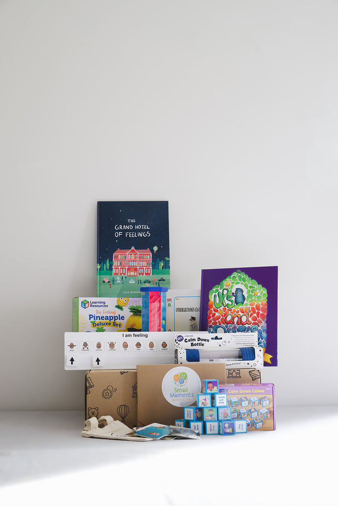 Image displays products featured in the Big Feelings at-home therapy box focusing on emotional regulation. Images shows, books, games, emotions visuals, regulation tools and therapy guide.