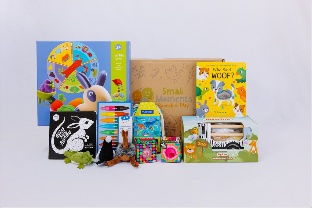 Image shows tools and resources supporting the playtime therapy program nd activity guide include games, books, puppets, wooden toys, puzzles and sensory box. All these items are in front of the Small Moments Speech & Play Postage Mailer